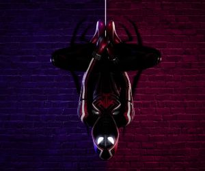 Miles Morales-Upside Down Live Wallpaper - MyLiveWallpapers.com